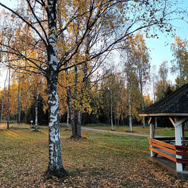 Koivuhaan pihapiiri