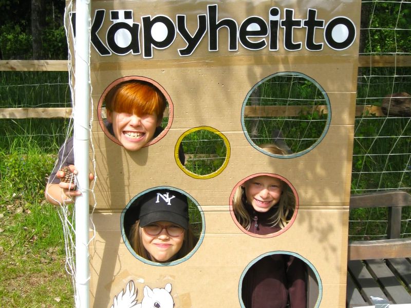 Käpyheittomaali