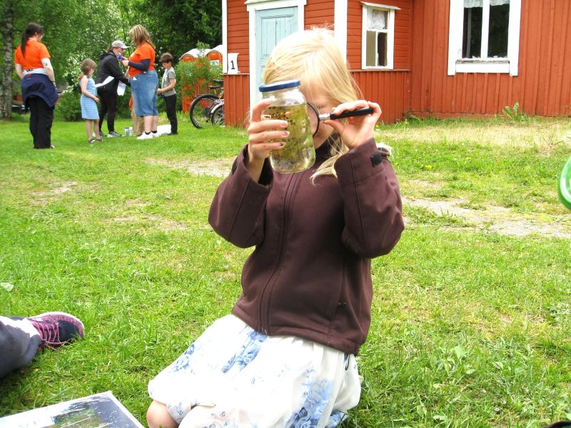 Ötökkäpurkin tutkintaa