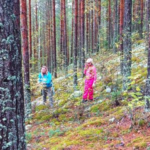 Metsässä