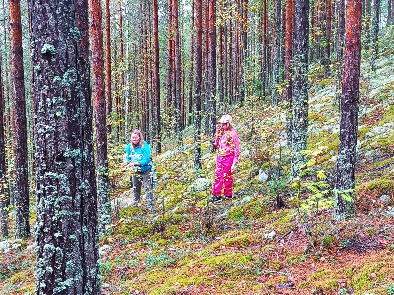 Metsässä